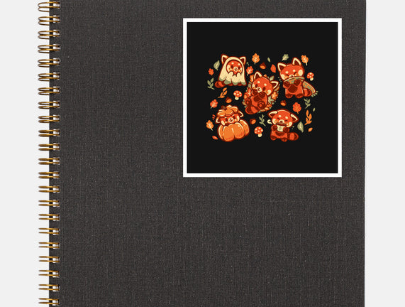 Red Panda Autumn Time