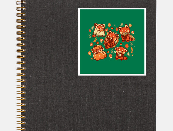 Red Panda Autumn Time