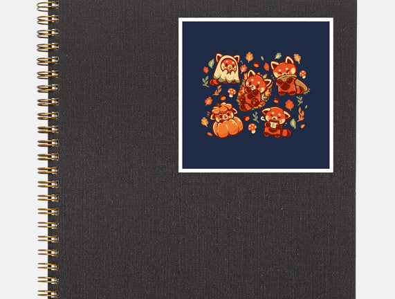 Red Panda Autumn Time