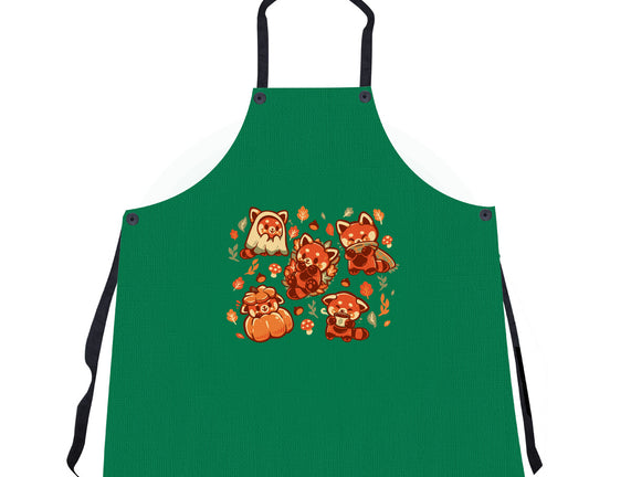 Red Panda Autumn Time