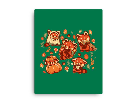Red Panda Autumn Time
