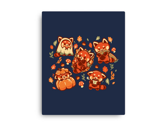 Red Panda Autumn Time