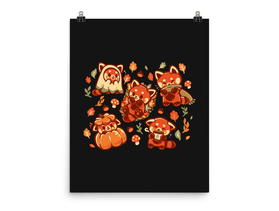 Red Panda Autumn Time