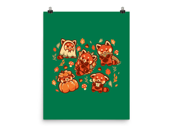 Red Panda Autumn Time