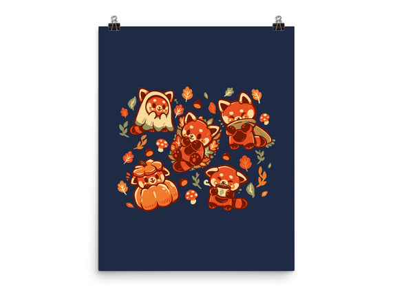 Red Panda Autumn Time