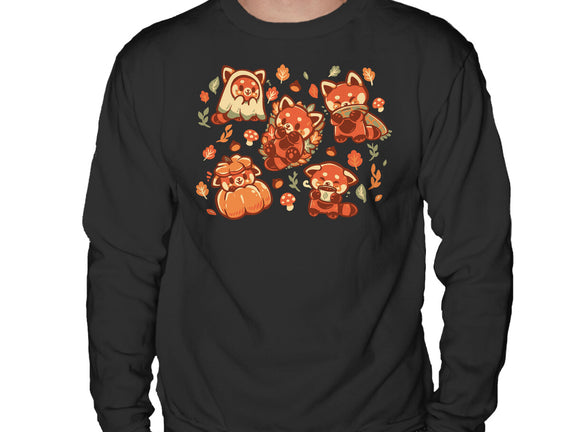 Red Panda Autumn Time