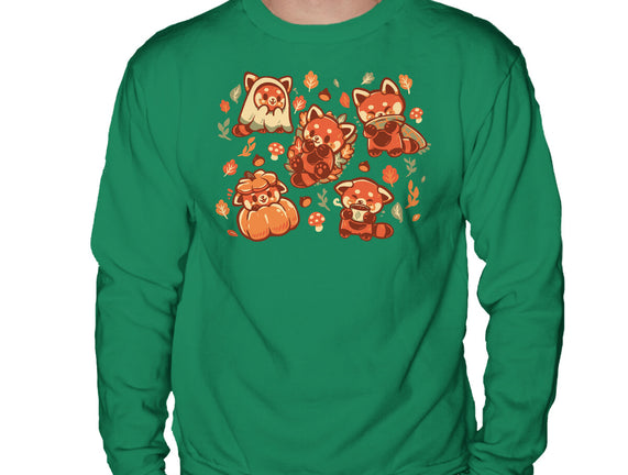 Red Panda Autumn Time