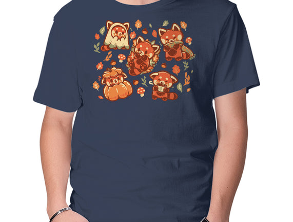 Red Panda Autumn Time