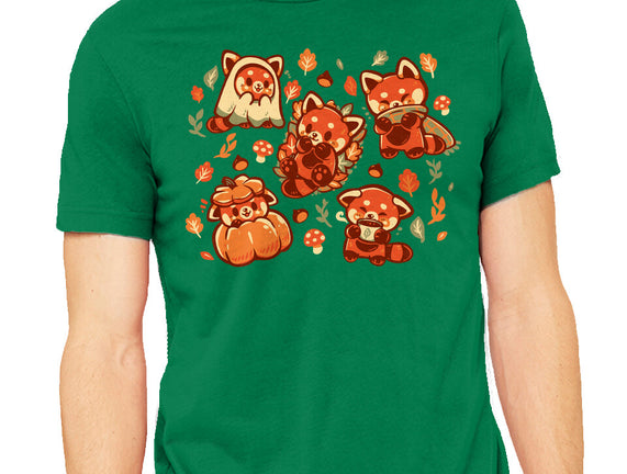 Red Panda Autumn Time