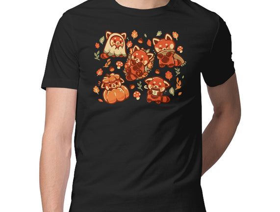 Red Panda Autumn Time