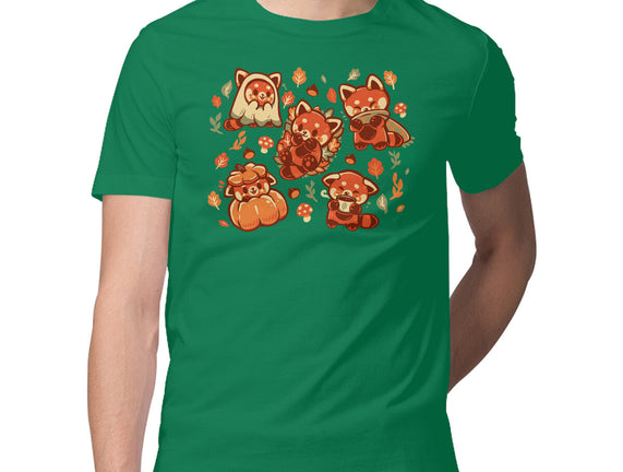 Red Panda Autumn Time