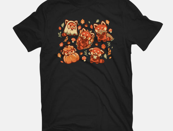 Red Panda Autumn Time