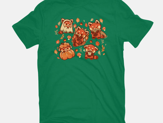 Red Panda Autumn Time