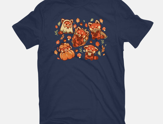 Red Panda Autumn Time