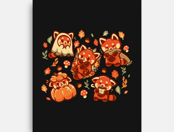 Red Panda Autumn Time