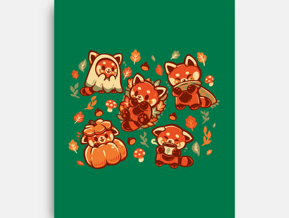 Red Panda Autumn Time