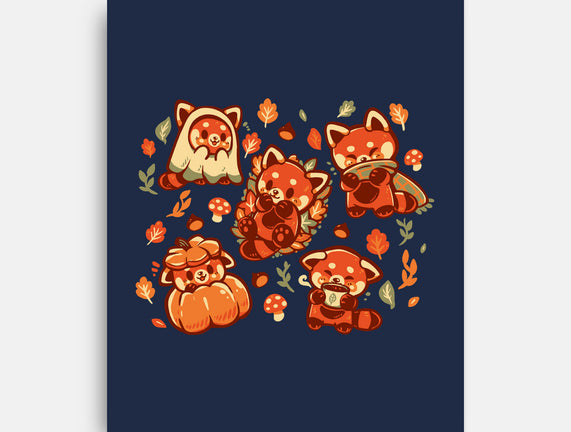 Red Panda Autumn Time