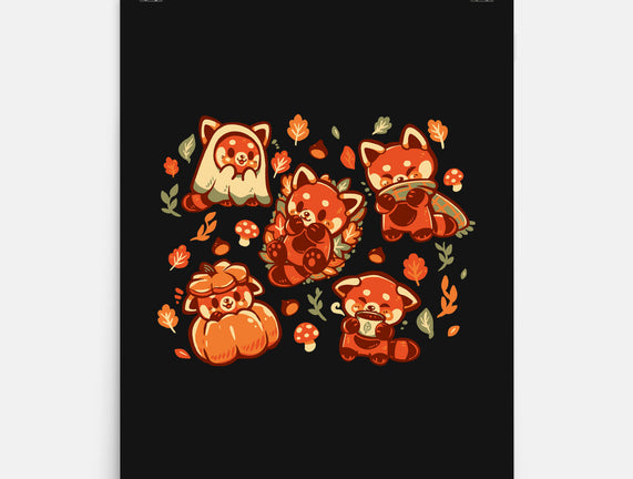 Red Panda Autumn Time