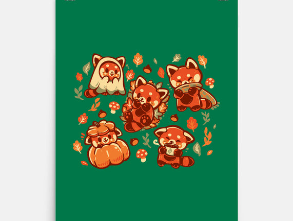 Red Panda Autumn Time