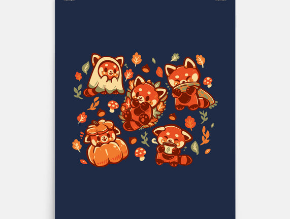 Red Panda Autumn Time