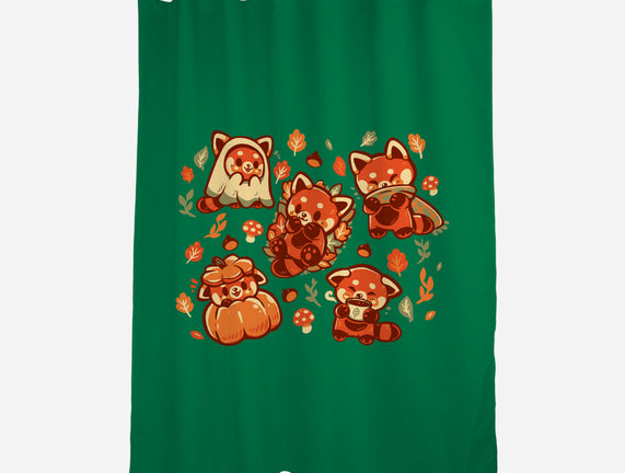 Red Panda Autumn Time