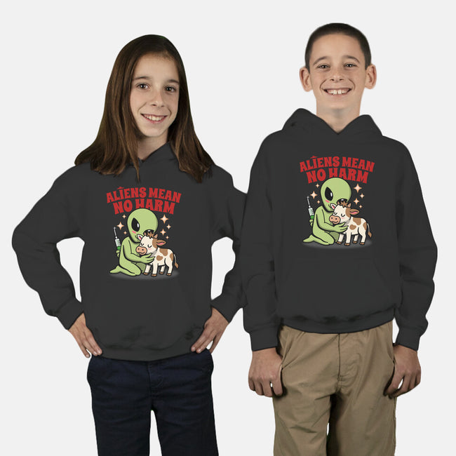 Aliens Mean No Harm-Youth-Pullover-Sweatshirt-Boggs Nicolas