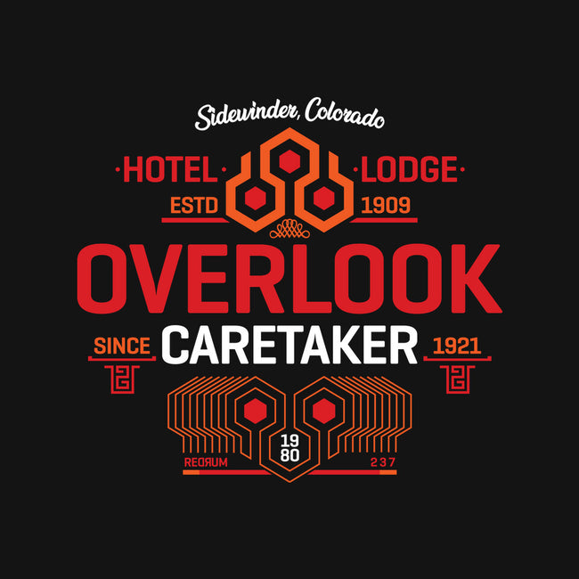 Shining Caretaker-Womens-V-Neck-Tee-rocketman_art