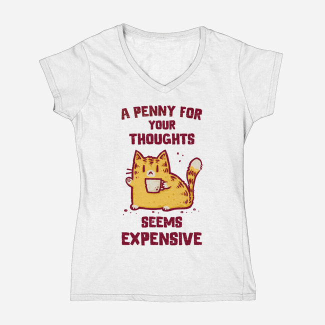 A Penny Seems Expensive-Womens-V-Neck-Tee-kg07