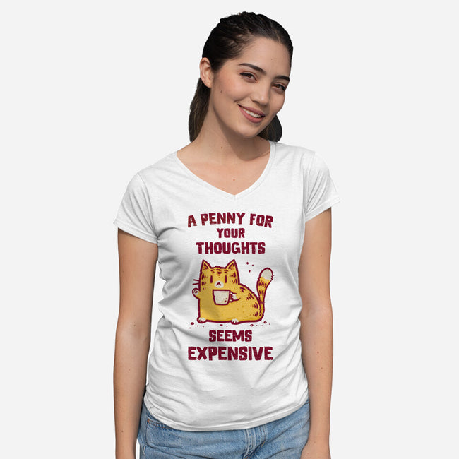 A Penny Seems Expensive-Womens-V-Neck-Tee-kg07