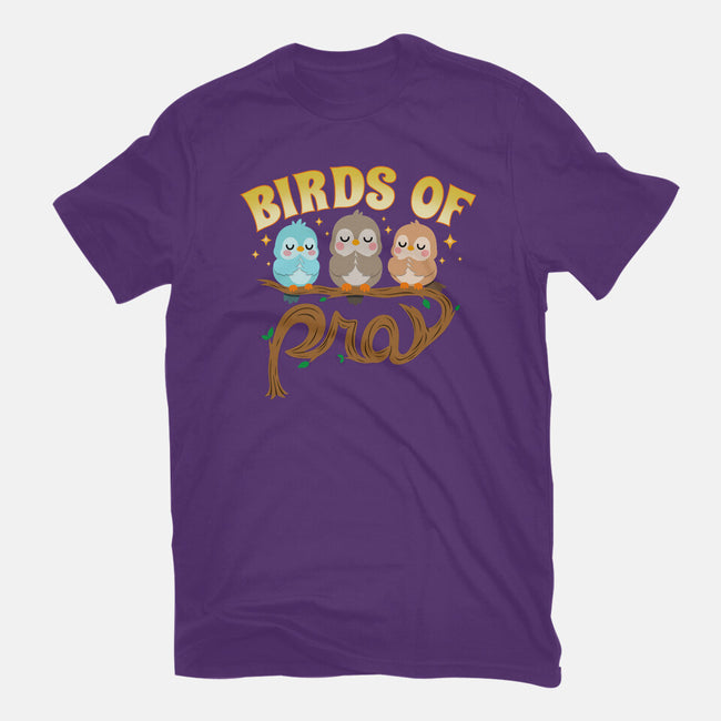 Birds Of Pray-Womens-Basic-Tee-Boggs Nicolas