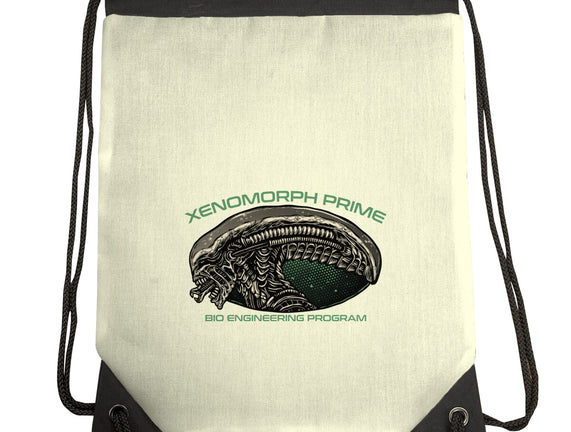 Bio Engineering Program