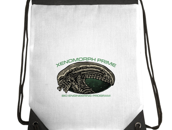 Bio Engineering Program