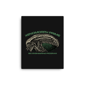 Bio Engineering Program