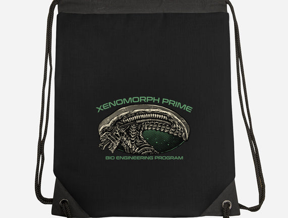 Bio Engineering Program