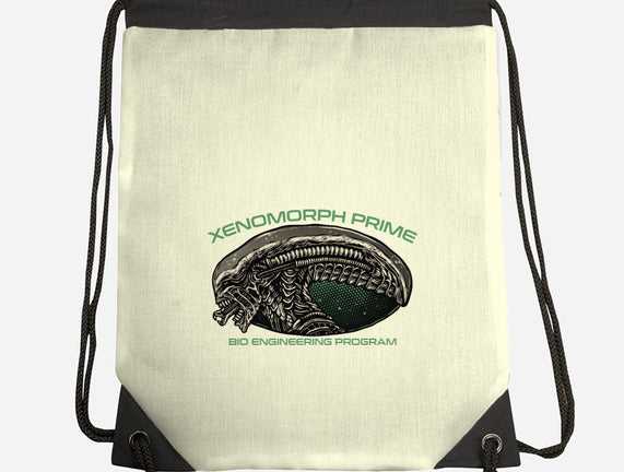 Bio Engineering Program