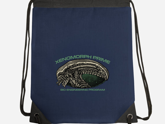 Bio Engineering Program