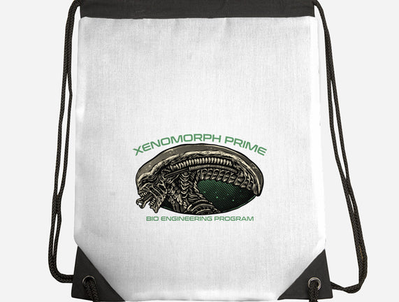 Bio Engineering Program