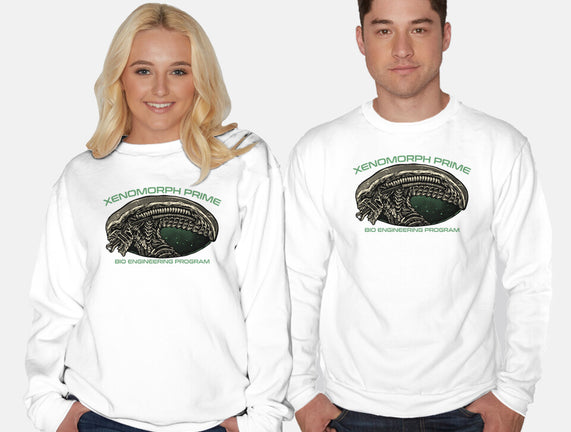 Bio Engineering Program