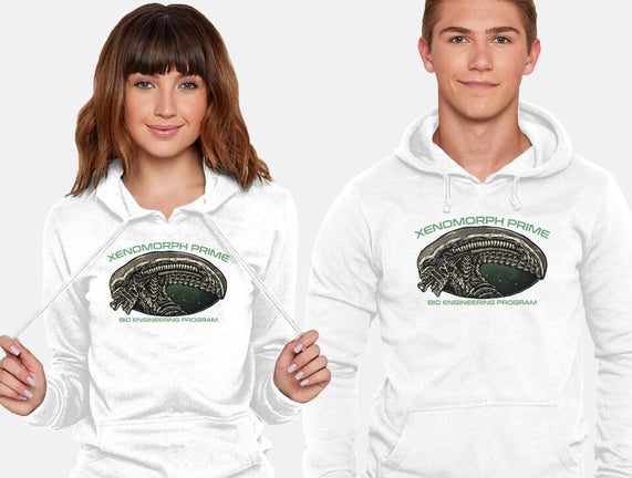 Bio Engineering Program