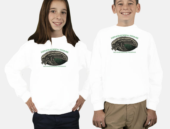 Bio Engineering Program