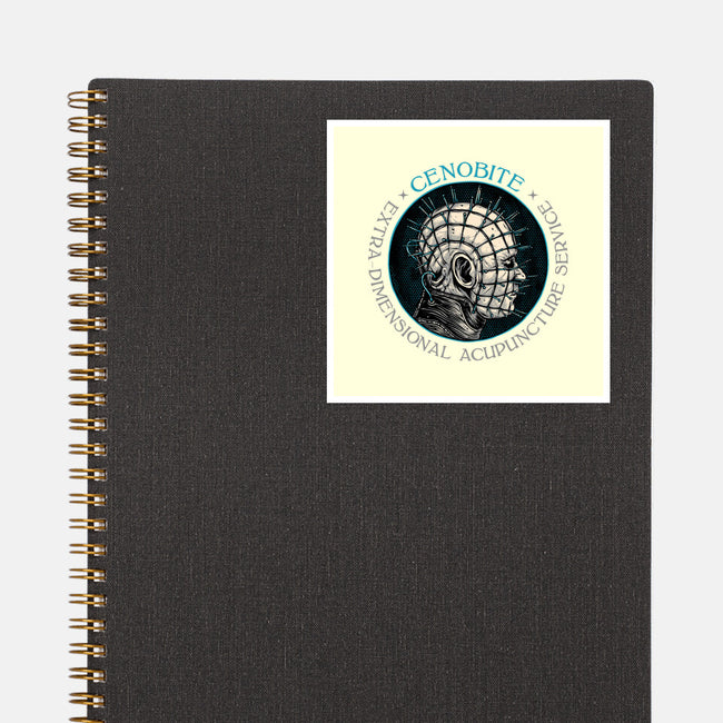 Extra Dimensional Acupuncture-None-Glossy-Sticker-glitchygorilla