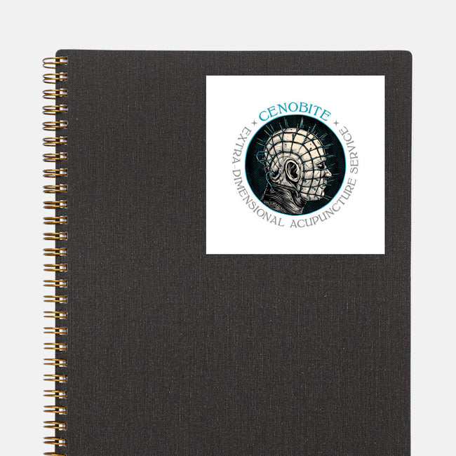 Extra Dimensional Acupuncture-None-Glossy-Sticker-glitchygorilla