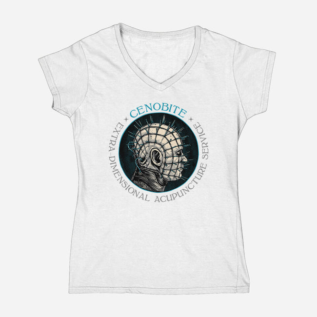 Extra Dimensional Acupuncture-Womens-V-Neck-Tee-glitchygorilla
