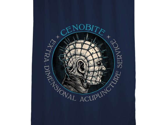 Extra Dimensional Acupuncture