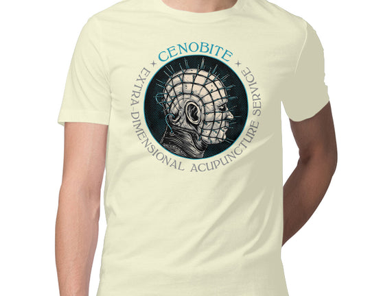 Extra Dimensional Acupuncture