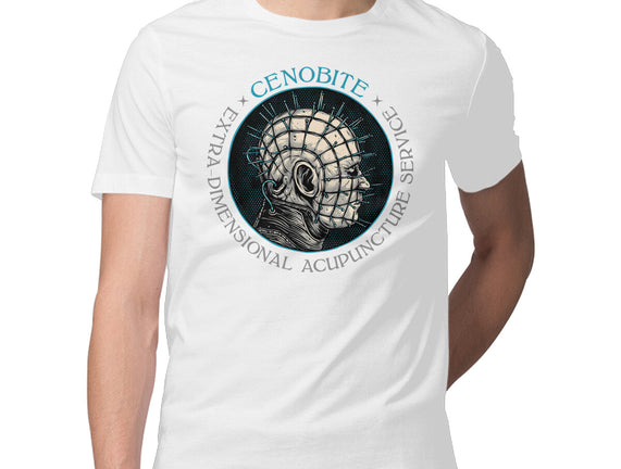 Extra Dimensional Acupuncture