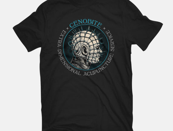 Extra Dimensional Acupuncture