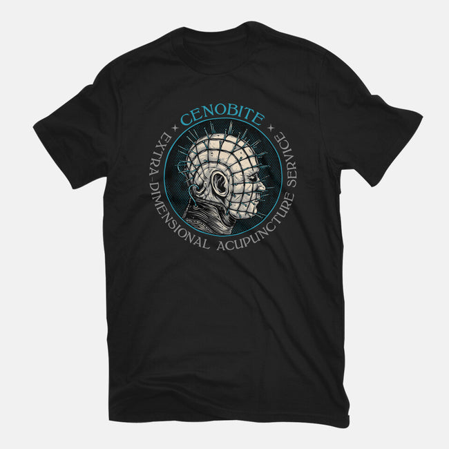 Extra Dimensional Acupuncture-Womens-Fitted-Tee-glitchygorilla