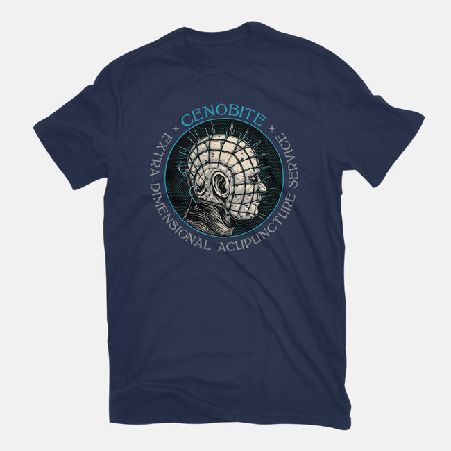 Extra Dimensional Acupuncture-Womens-Fitted-Tee-glitchygorilla
