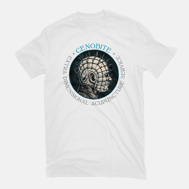Extra Dimensional Acupuncture-Womens-Fitted-Tee-glitchygorilla